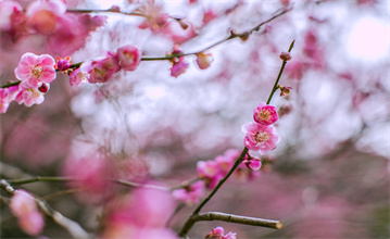 “我把妈妈戴在了手上”：生命晶石，让爱永不褪色